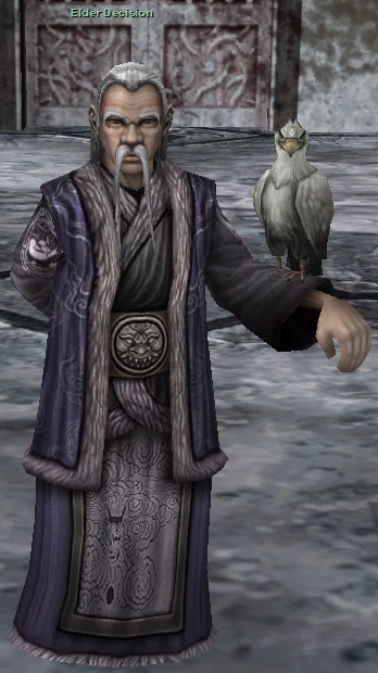 1) Find "Elder Decision" NPC