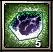 SocketStone5x